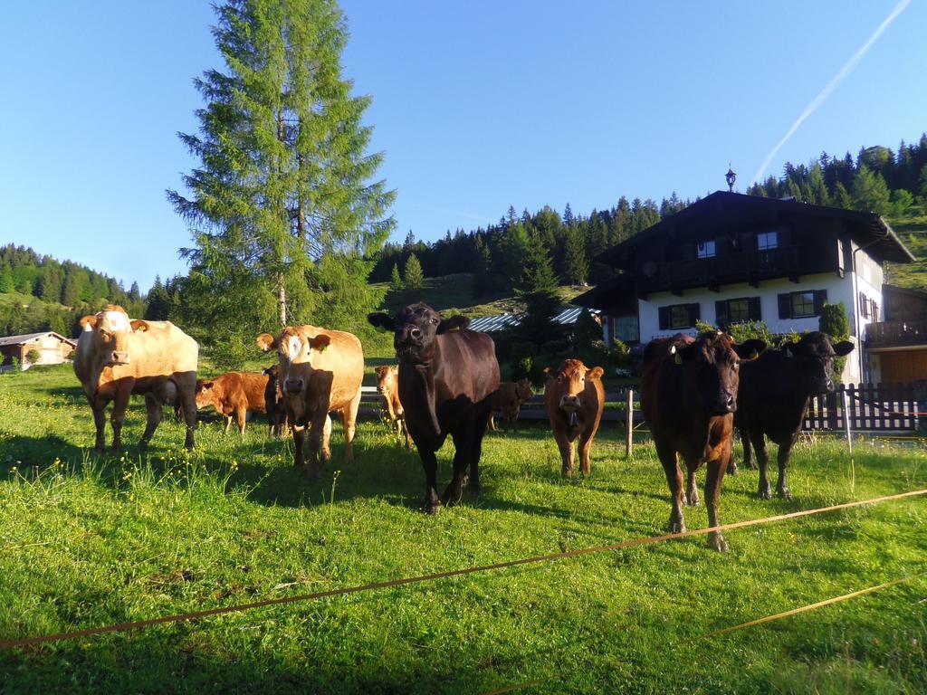 Almidylle Kathrin Villa Strobl Exteriör bild